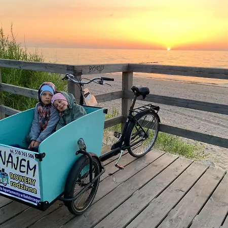 Holenderski Feniks *