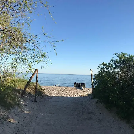 Holenderski Feniks Daire