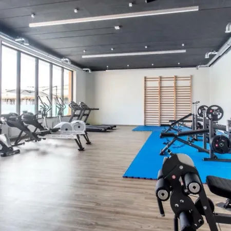 Holenderski Feniks Daire